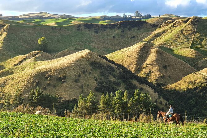 River Valley Stables - Burn The Breeze, Half Day Horse Ride For Riders - Nearby Attractions and Activities