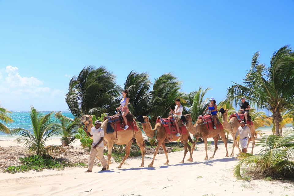 Riviera Maya: Camel Caravan Expedition and Beach Club Access - Age and Weight Restrictions