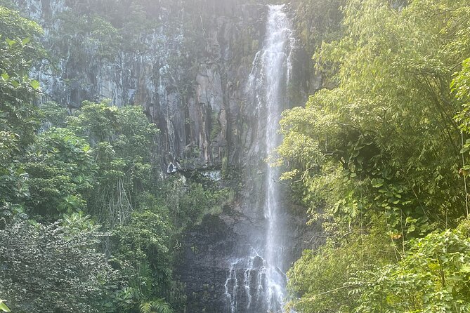 Road to Hana Tours to Black Sand Beach, Waterfalls, and More! - Customer Feedback and Ratings