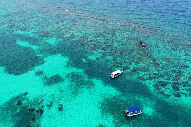 Roatan 3 Stop Snorkeling Adventure, Shipwreck, Starfish & Blue Channel - Tips for a Memorable Adventure
