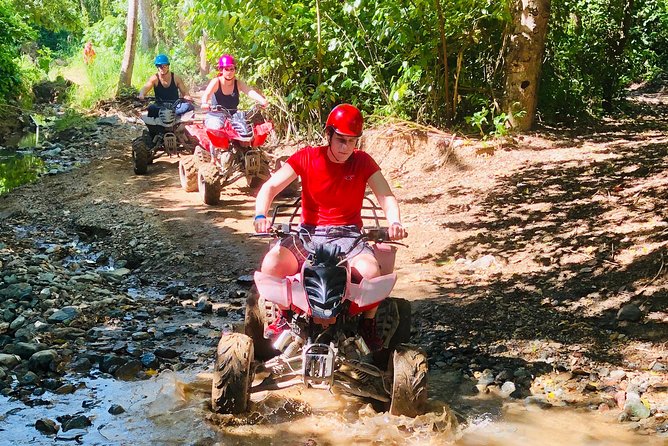 Roatan Wildlife Sustainable Safari~ATV Dune Buggy Beach Adventure - Wildlife Encounters