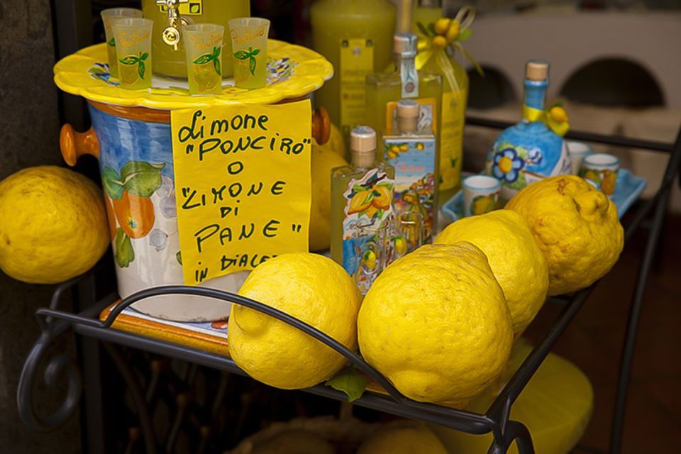 Rome: Amalfi Coast Boat Cruise & Guided Coastal Towns Tour - Lemon Farm and Limoncello