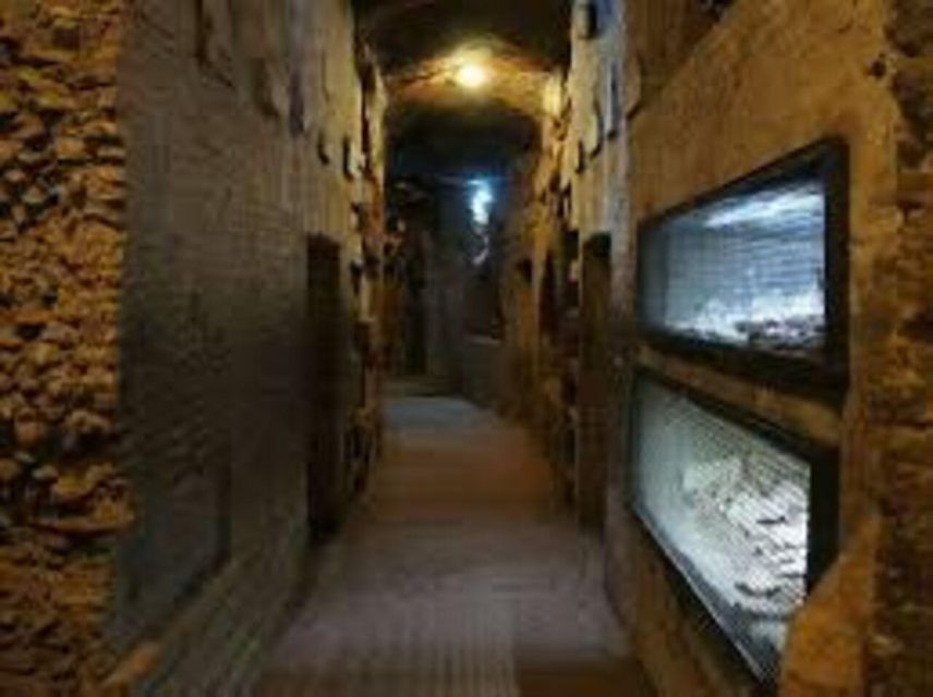 Rome: Appian Catacombs Tour With Transfere - Whats Included in the Tour