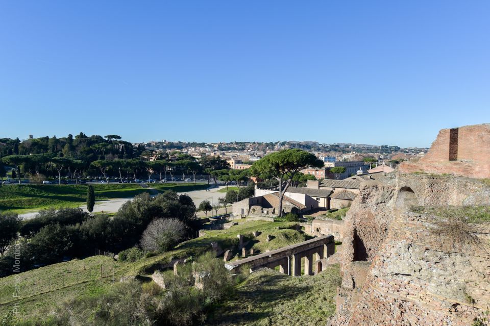 Rome: Colosseum, Roman Forum and Palatine Hill Guided Tour - Exploring Palatine Hill