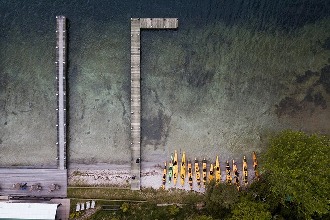 Rotorua: Daytime Scenic Lake Rotoiti Kayak Tour - Customer Reviews