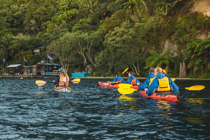 Rotorua: Evening Starlight Gourmet Kayak Tour Glowworms - Tour Restrictions and Requirements