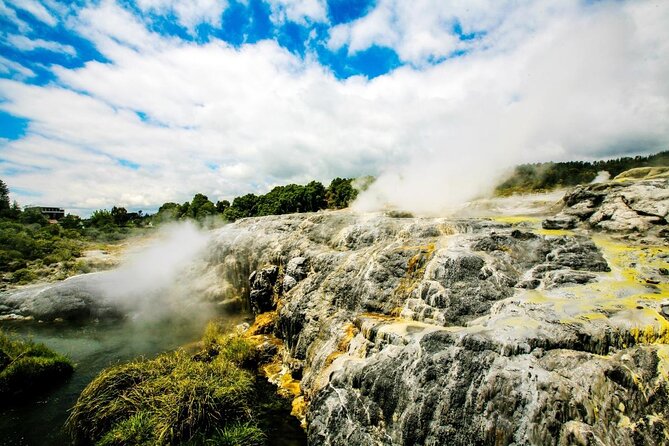 Rotorua Highlights Small Group Tour Including Te Puia From Auckland - Experience and Feedback