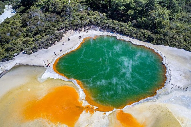 Rotorua Highlights Small Group Tour Including Wai-O-Tapu From Auckland - Customer Feedback