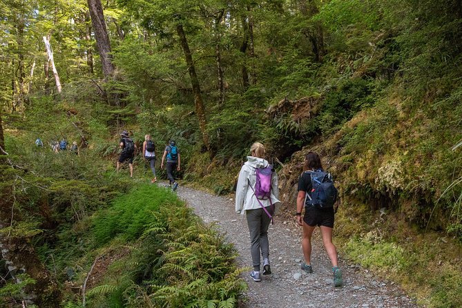 Routeburn Track Guided Walk (Half-Day) - Pricing Information