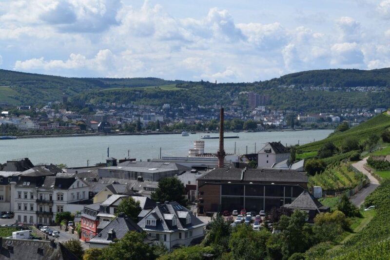 Rüdesheim: Private Guided Walking Tour - Customer Feedback