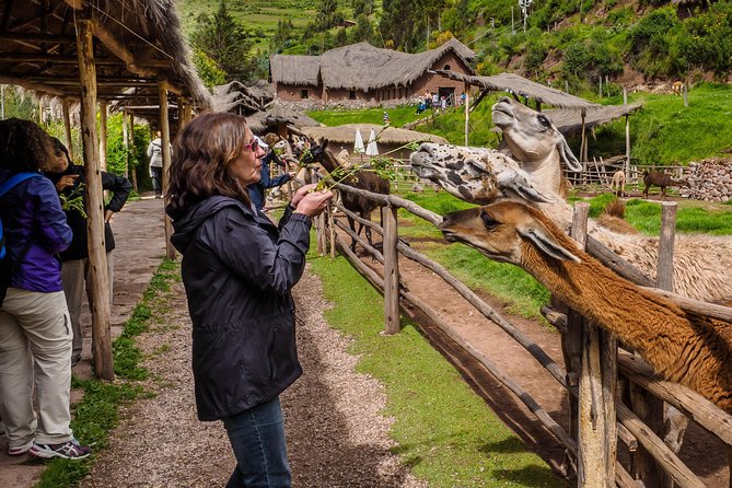 Sacred Valley + Machu Picchu With Peru Vip - Pickup Information