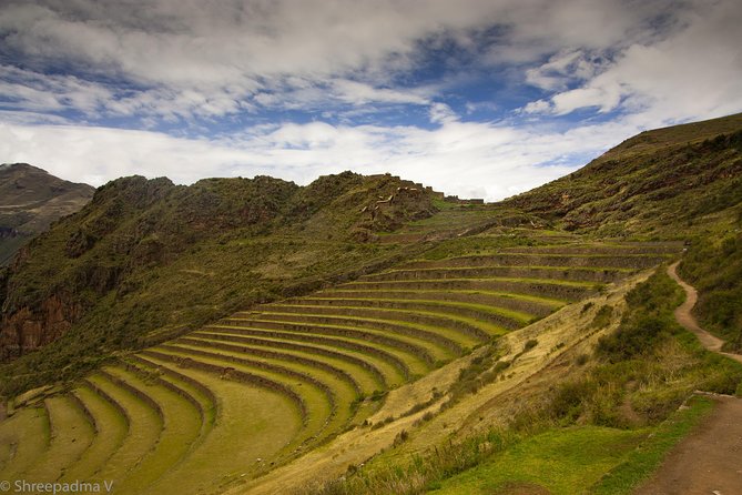 Sacred Valley of the Incas in Private: Pisaq, Ollantaytambo, Chinchero, Awanacancha - Traveler Reviews and Testimonials