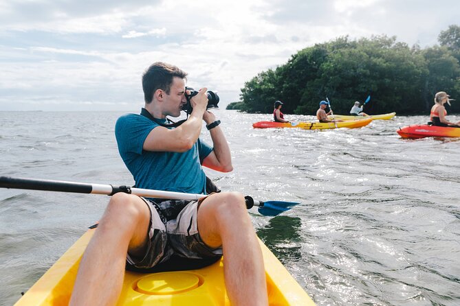 Sail, Snorkel, Kayak, Dolphins, and Lunch With Honest Eco - Meeting Point and Schedule