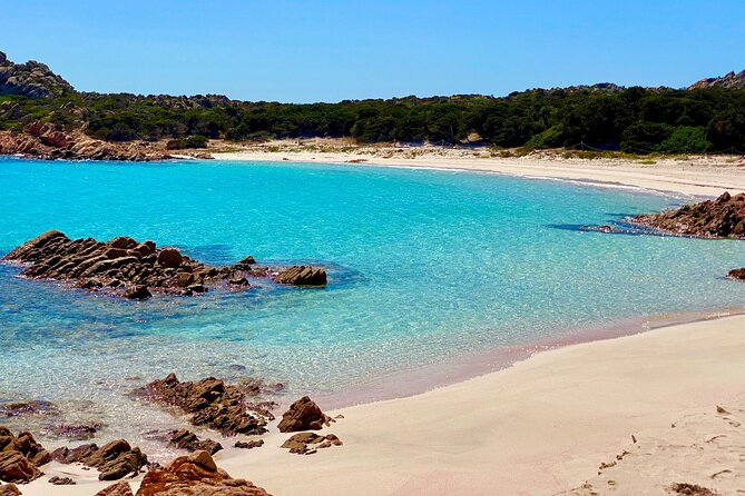 Sailing Cruise in Maddalena Archipelago From Maddalena - Tour Confirmation and Accessibility