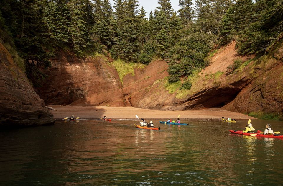 Saint John: Bay of Fundy Guided Kayaking Tour With Snack - Guided by Local Experts