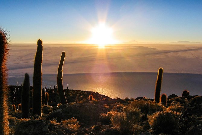 Salar De Uyuni (1 Day) - Spanish Speaking Guide - Booking Tips and Recommendations