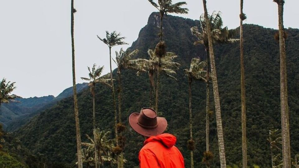 Salento, Cocora Horseback Riding From Pereira or Armenia - Tour Duration and Flexibility