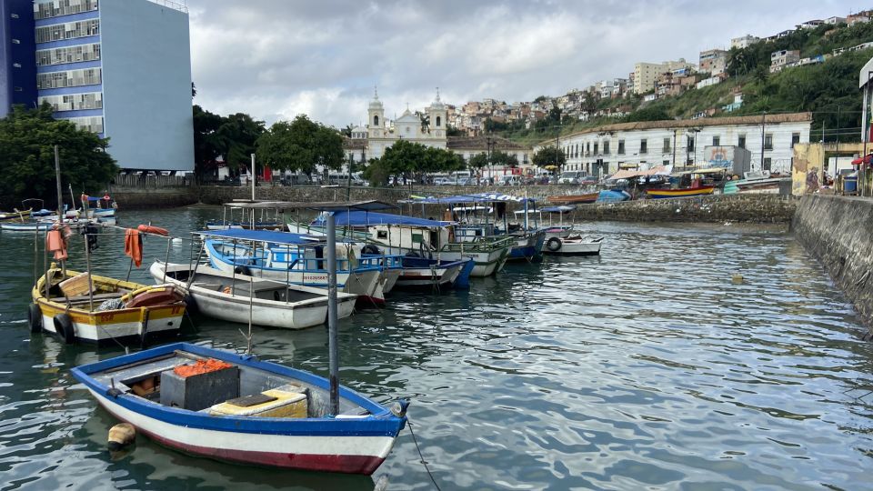 Salvador: African Heritage & Acarajé Tasting 4-Hour Tour - Tour Experience and Reviews