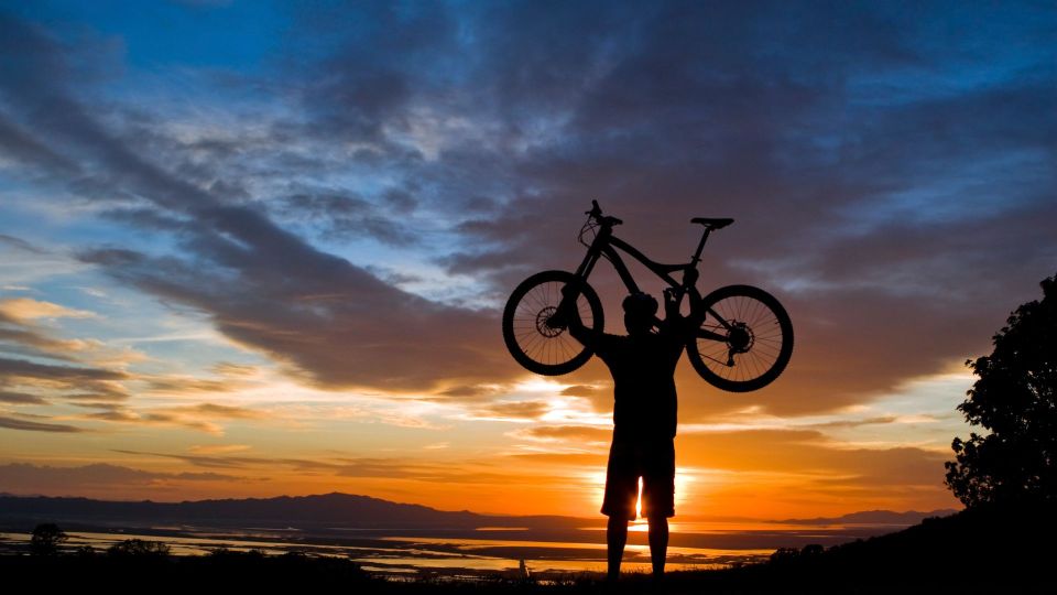 Salzburg: City and Countryside Mountain Bike Tour - Tour Inclusions