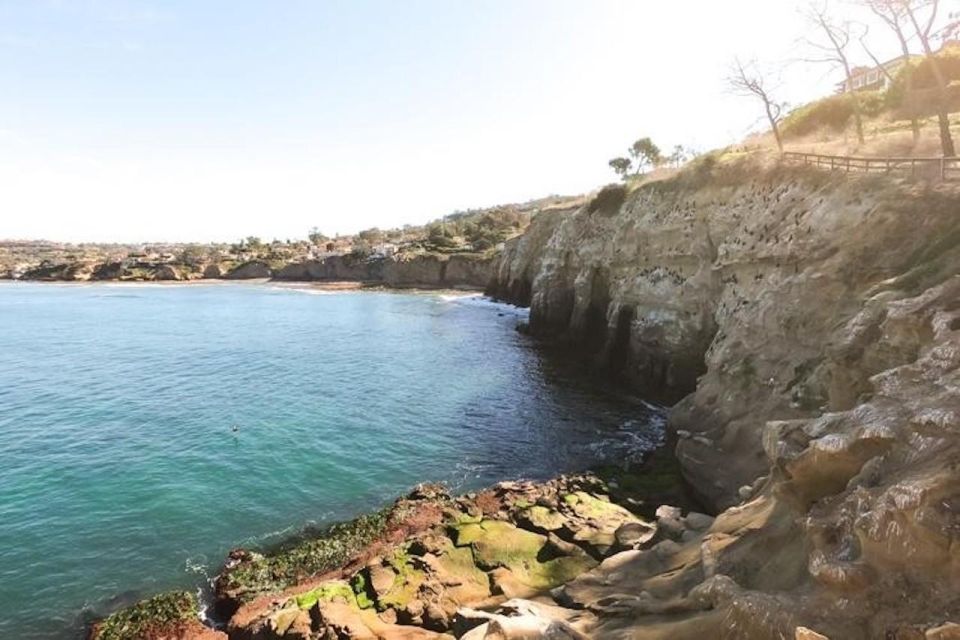 San Diego: La Jolla Cove Guided Snorkeling Tour - Preparation Recommendations