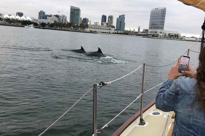 San Diegos Best Sunset Sail - Guest Experiences and Testimonials