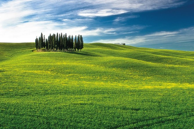 San Gimignano, Chianti, and Montalcino Day Trip From Siena - Savoring a Winery Lunch