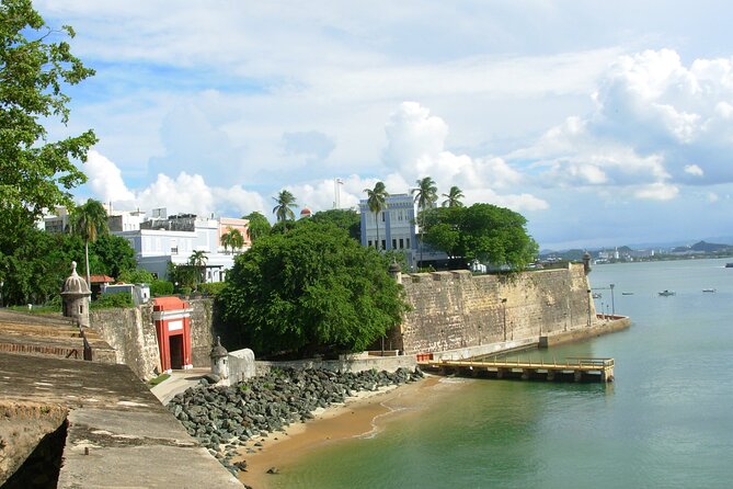 San Juan Highlight Tour - Tour Guide Experience
