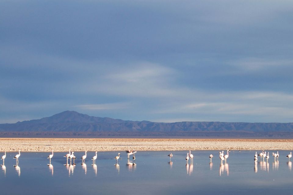 San Pedro De Atacama: 4-Day Magic Desert Tour - Day 3: Geysers and Valleys