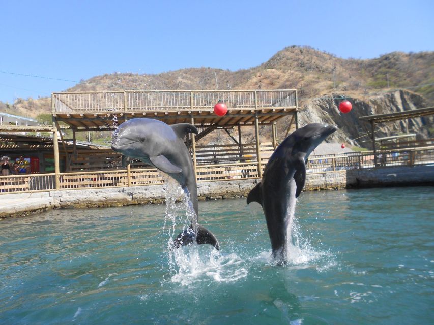 Santa Marta: Museum of the Sea and Playa Blanca Beach Tour - Frequently Asked Questions