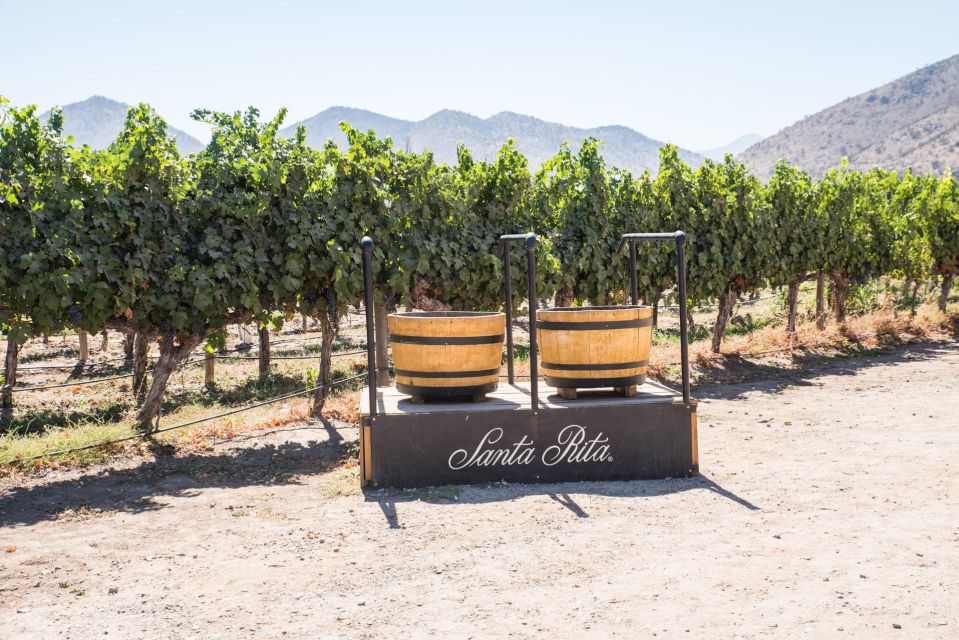 Santa Rita: Tour + Premium Wine Tasting + Private Transport - Premium Wine Tasting Experience