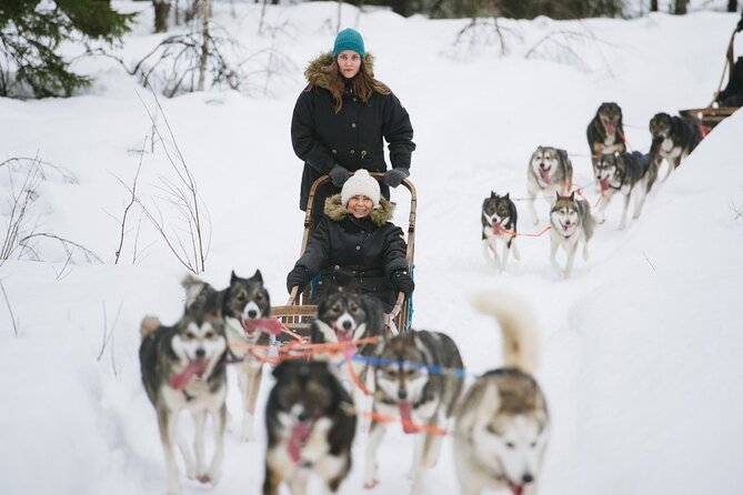Santas Reindeer & Husky Safari + Santas Pets + Aurora BBQ! - Meeting and Pickup Details