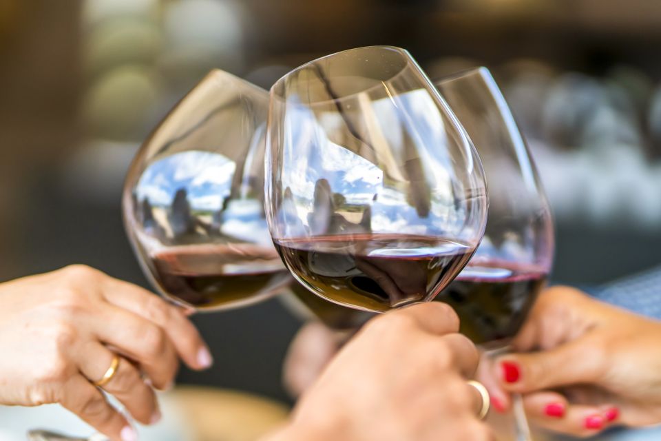 Santiago: Main Chilean Wineries Private Half-Day Tours - Customer Feedback