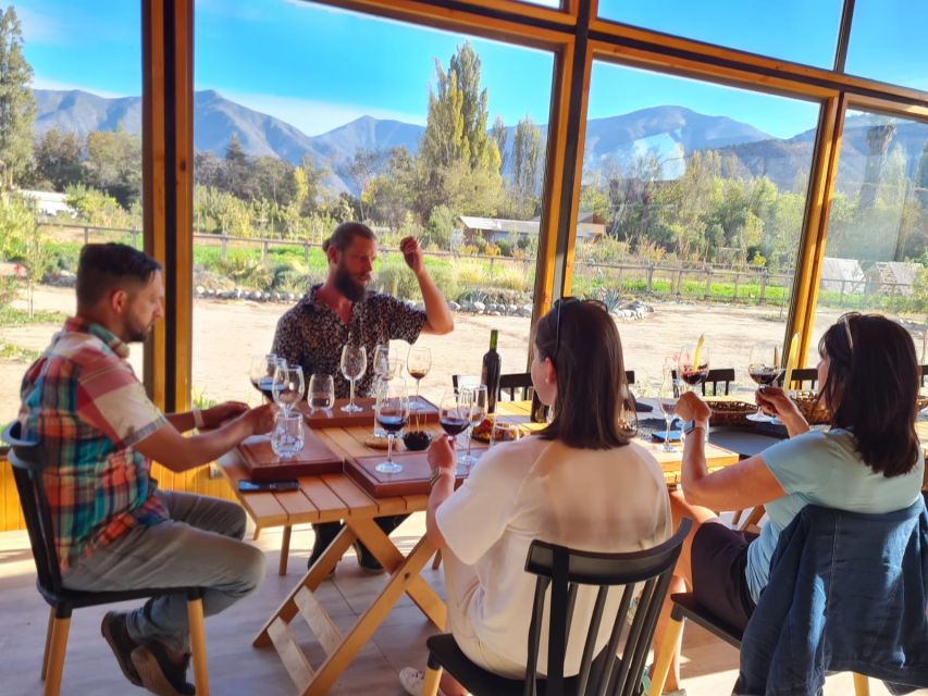 Santiago: Maipo Valley Wine Tasting Tour With 3 Vineyards - Experience Details