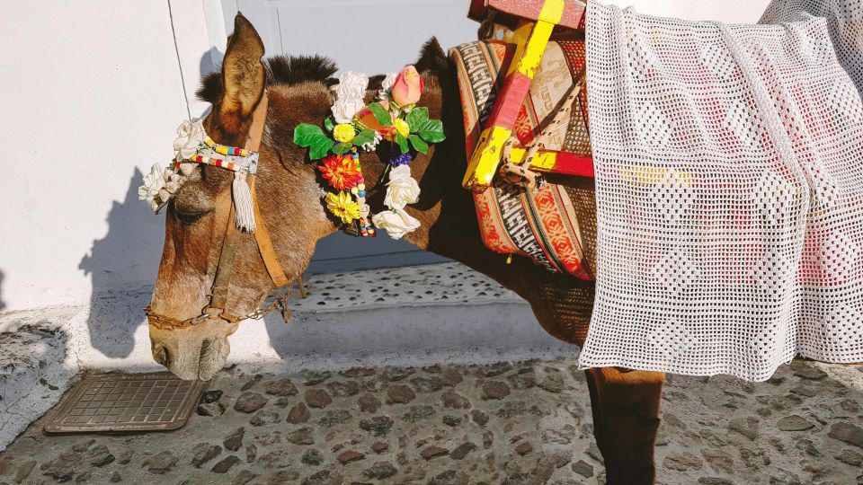 Santorini Tour : Oia, Black Beach, and Pyrgos Half-Day Tour - Important Information