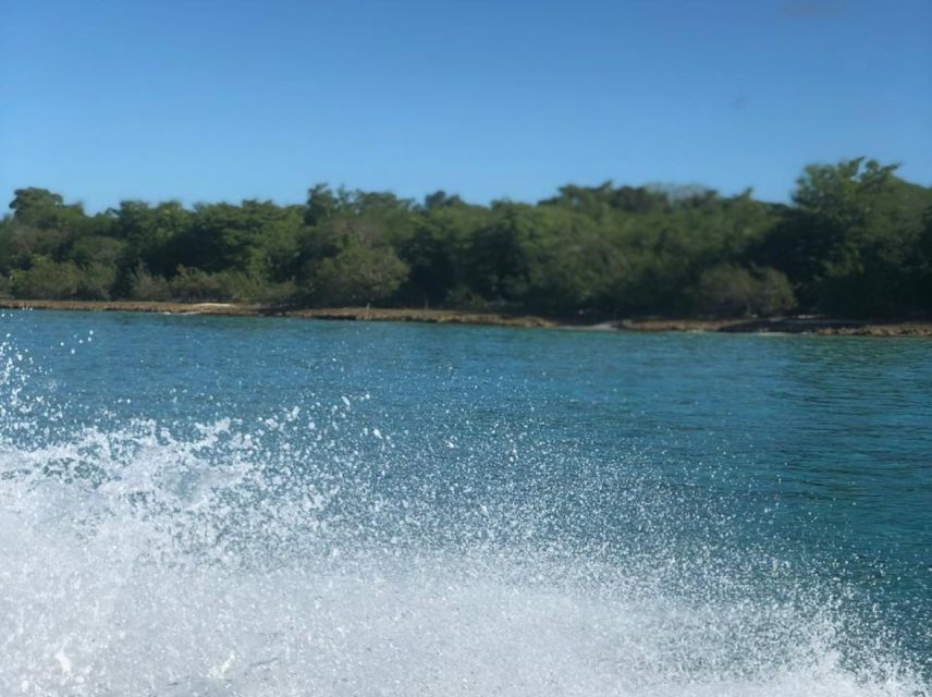 Saona Island: Beaches and Natural Pool Cruise With Lunch - Important Information