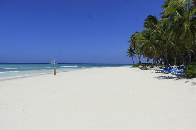 Saona Island Paradise From Punta Cana - Accessibility Considerations