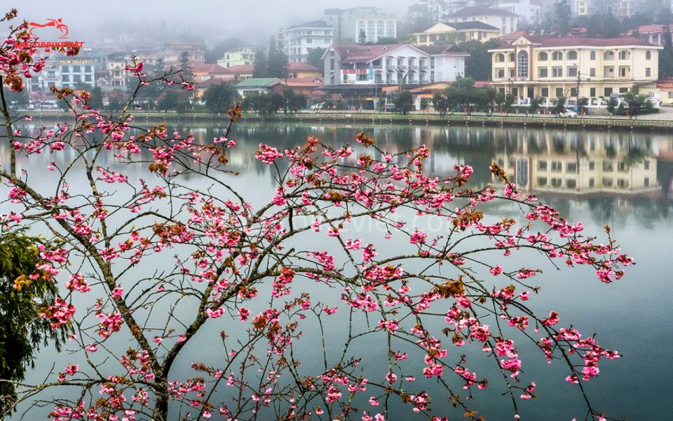 SAPA 3 DAYS 2 NIGHTS PACKAGE - Day 1 Activities