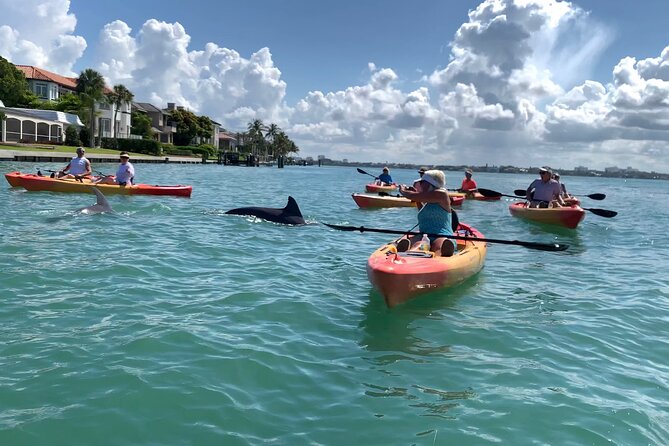 Sarasota Mangrove Tunnel Guided Kayak Adventure - Customer Reviews and Testimonials