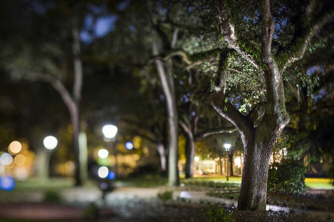 Savannah Shadows All Ages Ghost Tour - Accessibility Information