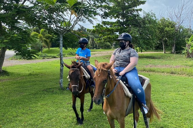 Scenic Horseback Riding Tour From San Juan - Customer Reviews