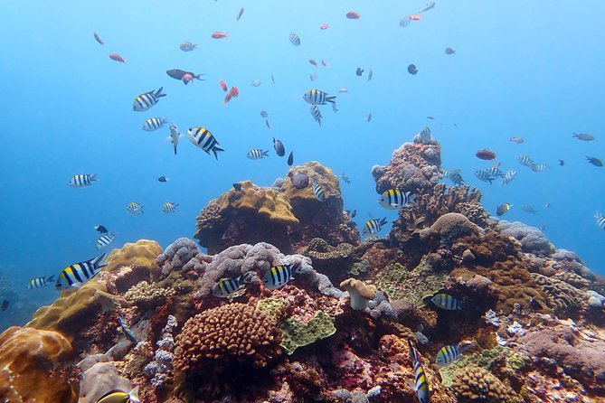 Scuba Diving at Tulamben USAT Liberty Wreck - Transportation and Pickup Information