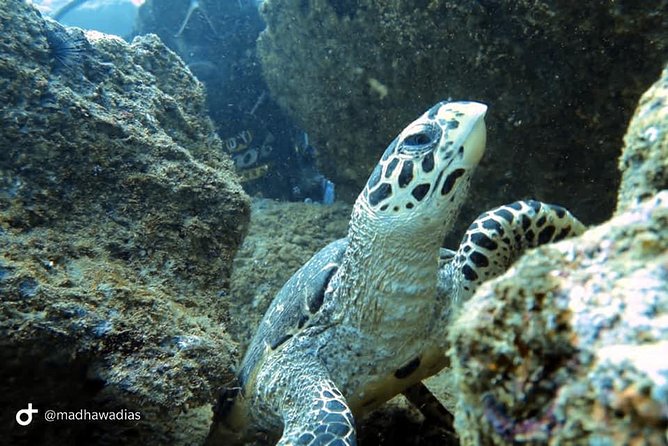 Scuba Diving at Unawatuna - Safety Considerations
