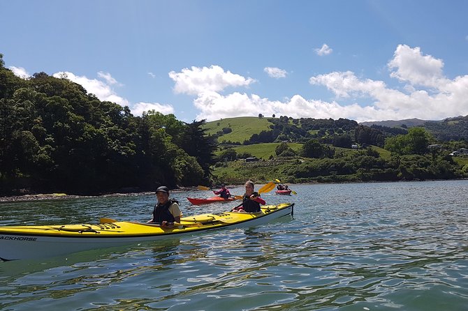 Sea Kayaking Christchurch, Lyttelton Harbour & Quail Island - What to Expect on Tour