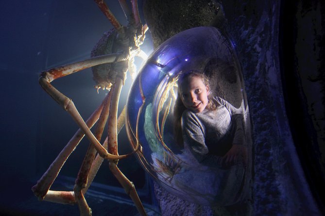SEA LIFE Manchester Admission Ticket - Accessibility and Accommodations