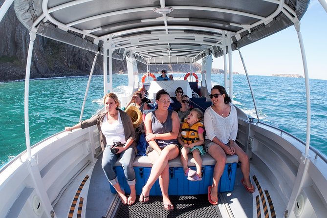 Seal Island Boat Tour From Victor Harbor - Guest Experiences