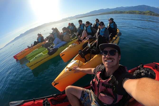 Seal Kayaking Adventure in Kaikoura - Meeting Location and Logistics