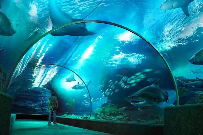 Sealife Bangkok + Madame Tussauds Bangkok - Operating Hours