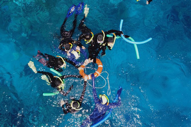 Seastar Luxury Outer Great Barrier Reef Island and Reef Tour - Customer Experiences