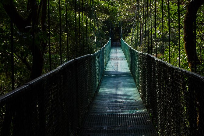 Selvatura Park Combo Tour From Monteverde - Wildlife Viewing Opportunities