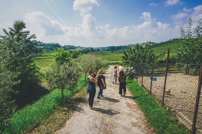 Semi-Private Prosecco Wine Tour From Venice - Wine Tasting Experiences